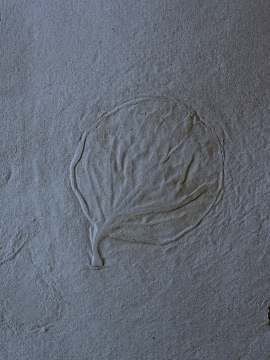 Making paper to write thank you notes to&nbsp;plants