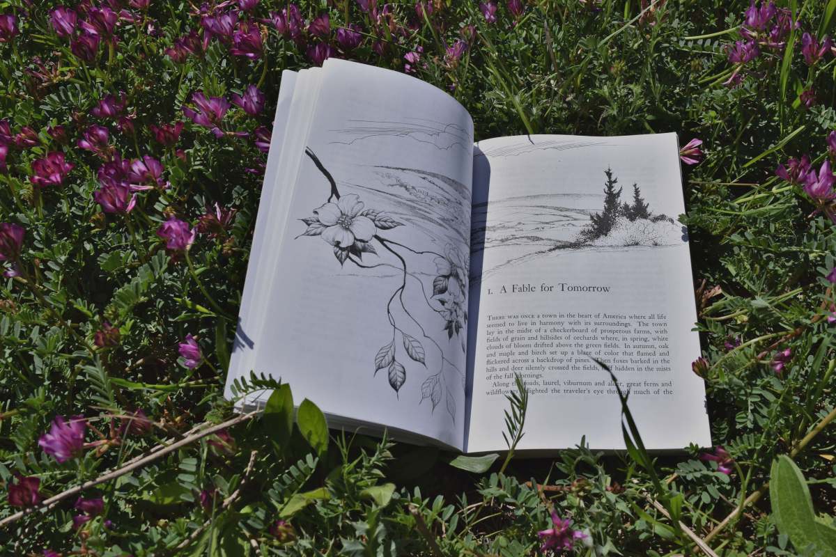 Rachel Carson e gli ingredienti di un’opera&nbsp;trasformativa